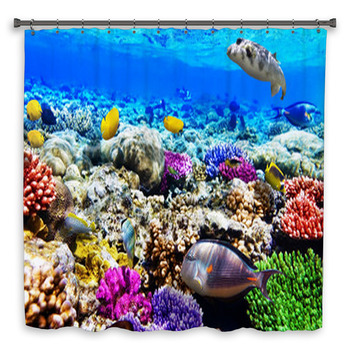Coral And Fish In The Red Sea. Egypt, Shower Curtain