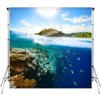 Coral Reef Backdrops