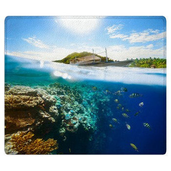 Coral Reef Rugs