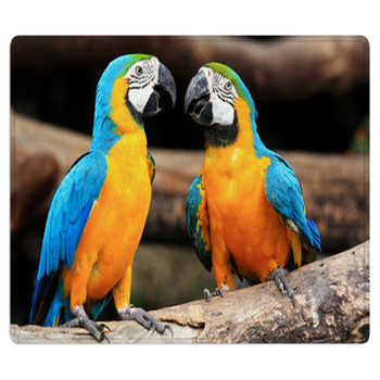 Couple Blue-and-yellow Macaws (Ara Ararauna) Area Rug