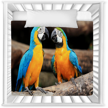 Couple Blue-and-yellow Macaws (Ara Baby Crib Comforter
