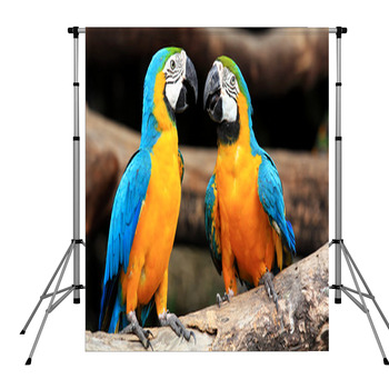 Couple Blue-and-yellow Macaws (Ara  Pole Pocket Backdrop