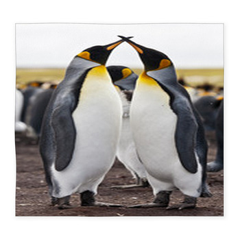 Couple King Penguins Custom Size Floor Mat