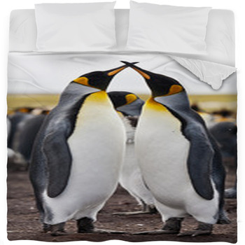 Couple King Penguins Fleece Bed Blanket