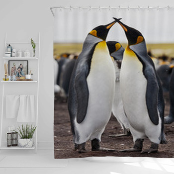 Couple King Penguins Shower Curtain