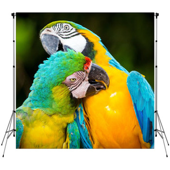 Couple Of Macaw Parrots In Nature Fleece Backdrop