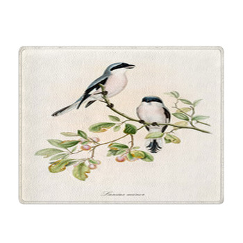 Couple Of White And Bluish Birds On A Single Bath Mat