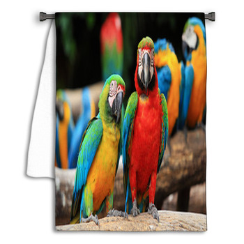 Couple Scarlet Macaw And Blue-and-yellow Macaw Towel