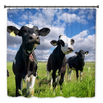 Cow Bath Decor