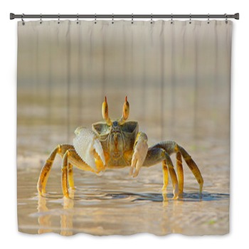 Crab Bath Decor