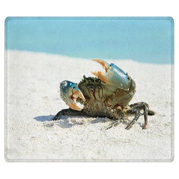 Crab On Beach Area Rug