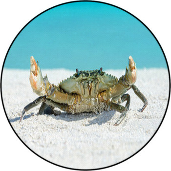 Crab On Beach Round Rug
