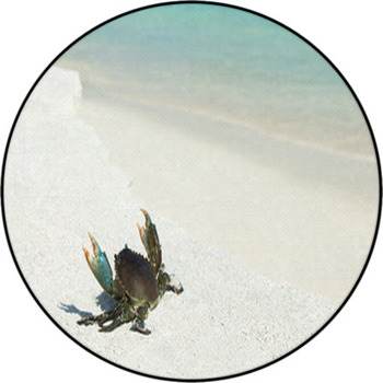 Crab On Beach Round Rug