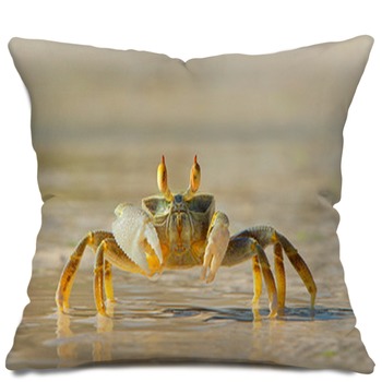 Crab Pillows