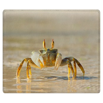 Crab Rugs