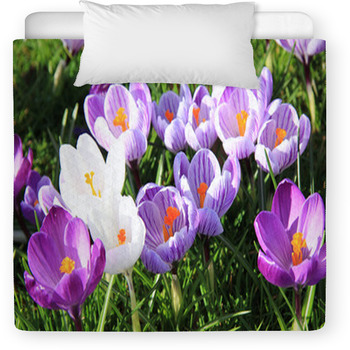 Crocuses On A Field Toddler Duvet