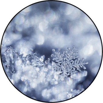 Crystal Forest Round Rug