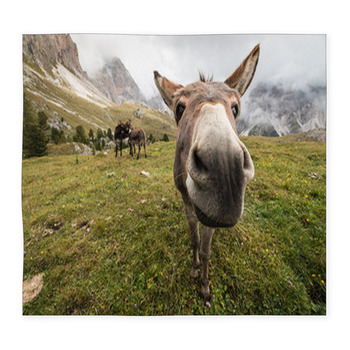 Curious Donkey In Dolomites Custom Size Floor Mat