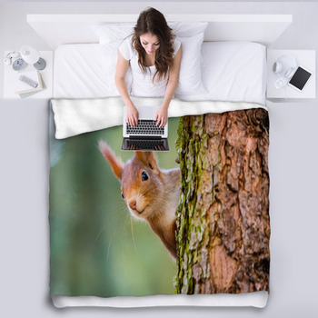 Curious Red Squirrel Peeking Behind The Fleece Blanket