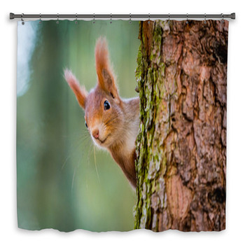 Animal Vivid Squirrel and Big Nut American Flag Waterproof Fabric Shower Curtain