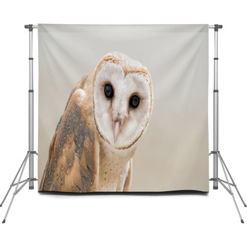  Custom Size Backdrop