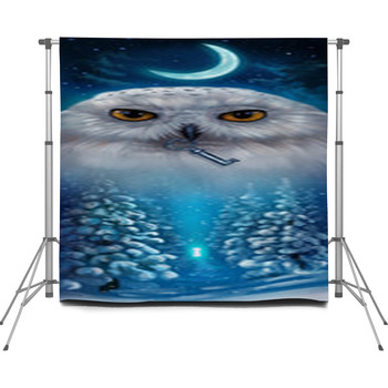  Custom Size Backdrop