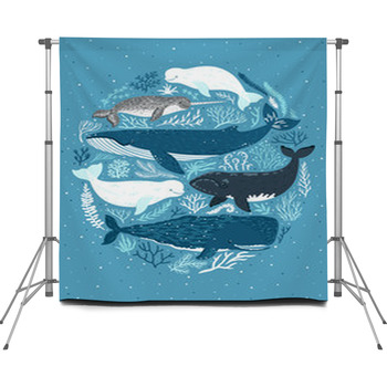  Custom Size Backdrop