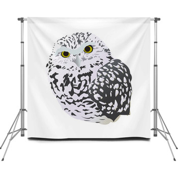  Custom Size Backdrop