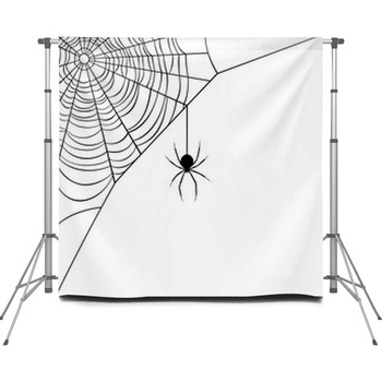  Custom Size Backdrop