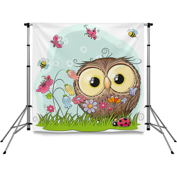 Cute Cartoon Owl On A Meadow Pole Pocket Backdrop