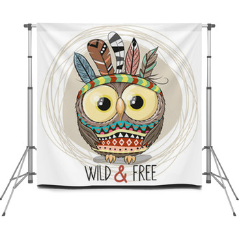 Cute Cartoon Tribal Owl With Custom Size Backdrop