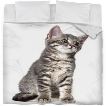 Cute Kitten Isolated On White Fleece Bed Blanket