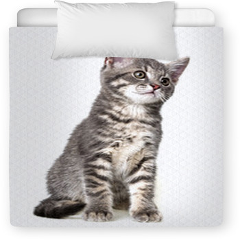 Cute Kitten Isolated On White Toddler Duvet