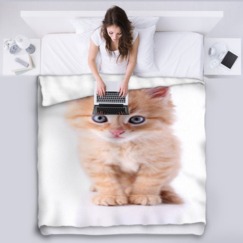 Cute Little Red Kitten Isolated On White Fleece Blanket