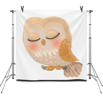Cute Owl Is Sleeping Fleece Backdrop