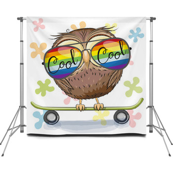 Cute Owl With Sun Glasses On A Custom Size Backdrop