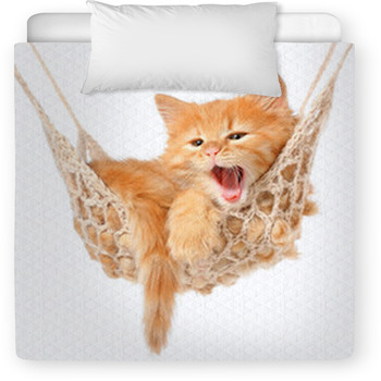 Cute Red-haired Kitten In Hammock Toddler Comforter