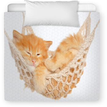 Cute Red Haired Kitten Sleeping In Toddler Comforter
