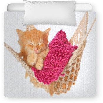 Cute Red Haired Kitten Sleeping In Hammock Toddler Duvet