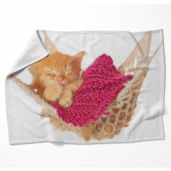 Cute Red Haired Kitten Sleeping In Woven Throw Blanket
