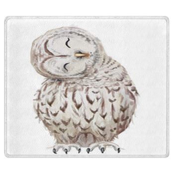 Cute White Owl Bath Mat