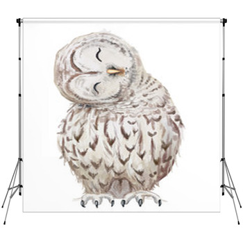 Cute White Owl Fleece Backdrop