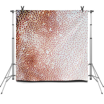 Cuttlefish Fleece Backdrop