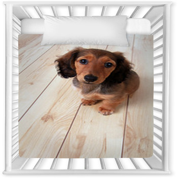 Dachshund Puppy Baby Crib Comforter