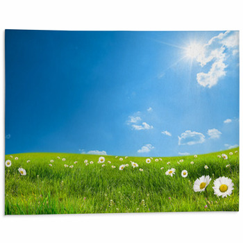 Daisy Area Rug