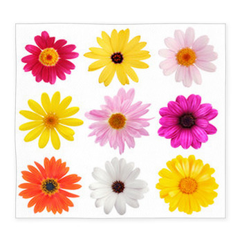 Daisy Collection Custom Size Floor Mat