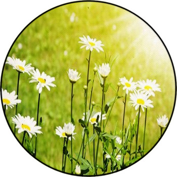 Daisy Field Round Rug