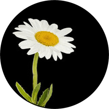 Daisy Flower Round Rug