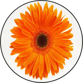 Daisy Round Rug
