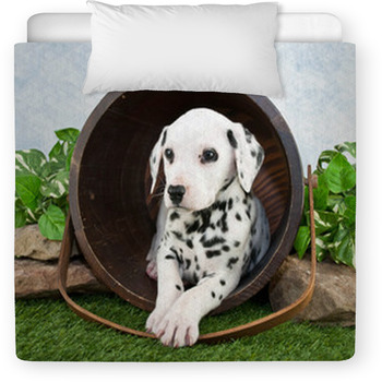 Dalmatian Puppy Toddler Duvet